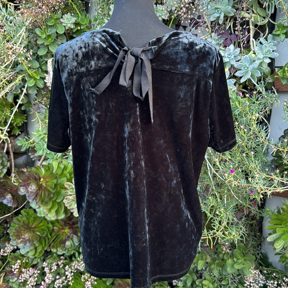 Black Crushed Velvet Short Sleeve Tee - Picture 2 of 2